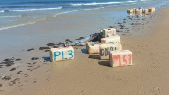 مياه البحر تلفظ رزم من الحشيش بآسفي