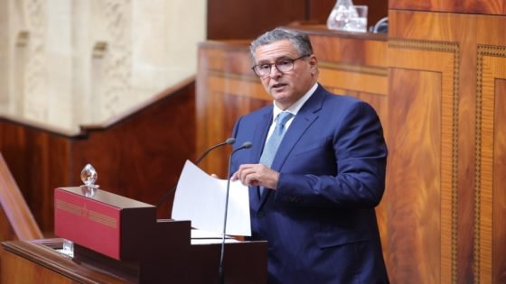 أخنوش : مدارس الريادة تكلف 3 ملايين للقسم والإصلاح يشمل القرى