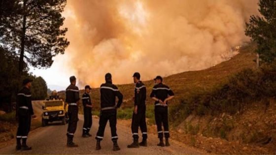 من أشعل النار عمدا بغابة هوارة بطنجة ؟