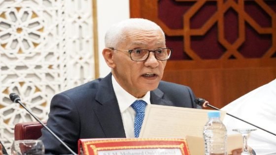 العلمي: تعزيز السيادة الوطنية شرط أساسي للتنمية المستدامة