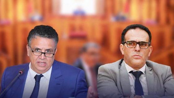 الغلوسي : وزير العدل اختار “المعاطية” بدل تقديم مرافعة قانونية لإقناع البرلمان