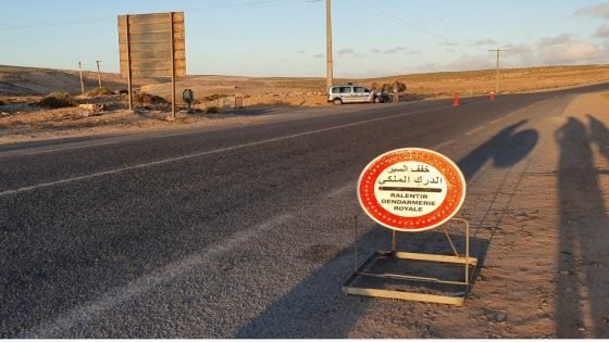 تفتيش روتيني يقود إلى ضبط أزيد من 3 أطنان من الأسماك المهربة