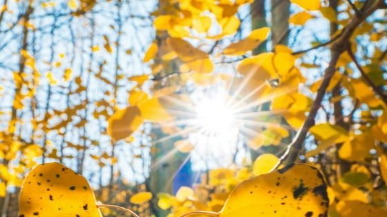 الطقس اليوم الجمعة.. جو حار وتناثر للغبار