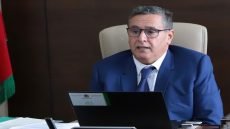 عزيز أخنوش: الدعم الاجتماعي المباشر يعزز الحماية الاجتماعية