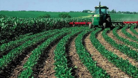 كيف خسر المغرب لأكثر من 294 هكتار من أراضيه الزراعية ؟
