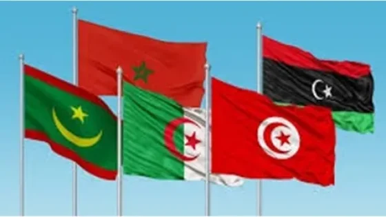 مبادرة مدنية دولية لإحياء الخلاف المغربي الجزائري