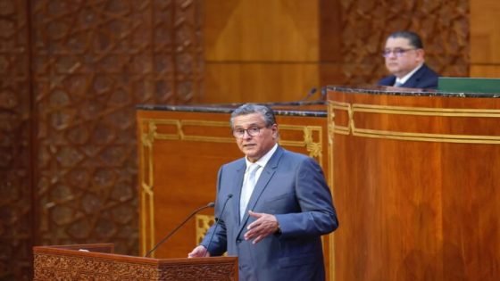 إجراءات حكومية لدعم الفلاحة والكهرباء : إعفاءات ضريبية ودعم بـ17 مليار درهم