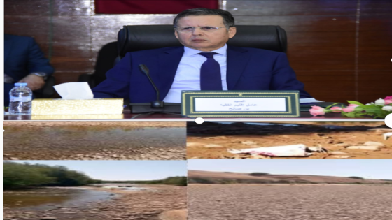 “رجاءً، السيد العامل… الفلاحون يستغيثون وعين أم الربيع تبكي عطشاً”