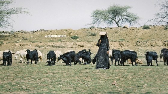 شابات القرى في المغرب.. واحدة من كل ثلاث خارج المدرسة وسوق الشغل