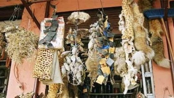 “نيران عاشوراء”.. بين لهو الشباب ووهم فكّ السحر