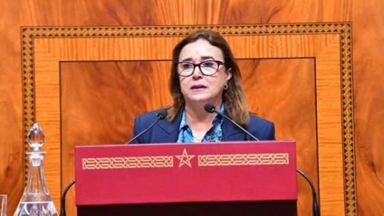سفينة حنظلة تُحرّك أسئلة التامني لبوريطة