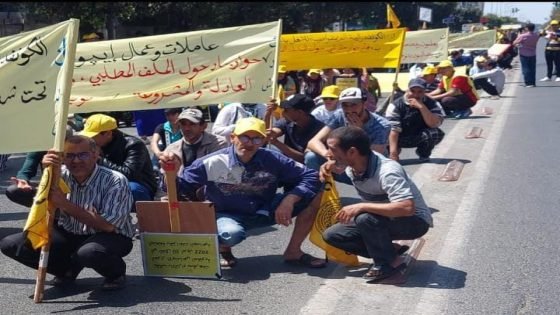 “اليماني” يفضح وهم التغطية الصحية في الدولة الاجتماعية