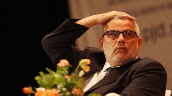 قطيع أغنام في أرض بنكيران… هل أوقف زعيم “البيجيدي” فعلاً عمل لجان الإحصاء ؟