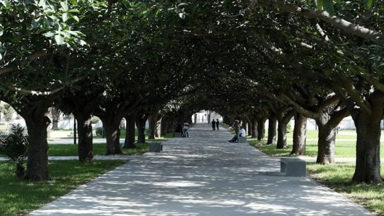 طقس السبت …سخونة وهيجان