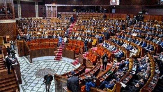 أزمة مؤسسات دستورية في تنزيل المشاريع والرؤى الملكية