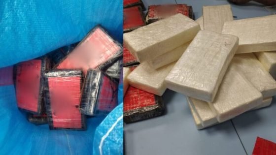 إحباط تهريب 53 كلغ من الكوكايين بمعبر الكركارات