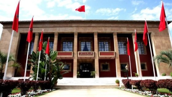 فضيحة.. برلماني يتباهى بقدرته على إدخال “قطته” للبرلمان!