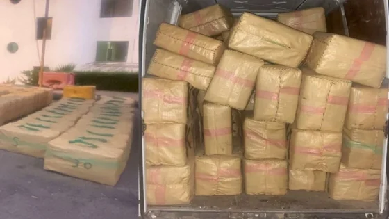 حجز 4,7 أطنان من الشيرا في آسفي