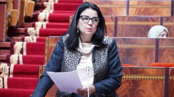 “السغروشني” تتذكر محاربة الفساد في أرذل عمر حكومة أخنوش