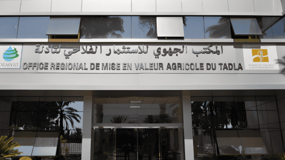 بني موسى.. قنوات ري مهترئة، فلاح يعاني، والإدارة خارج التغطية