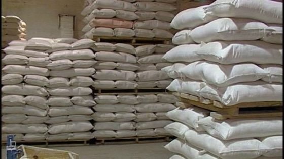 هالكلام.. مطاحن تطحن الورق مع الدقيق ليأكله المغاربة !