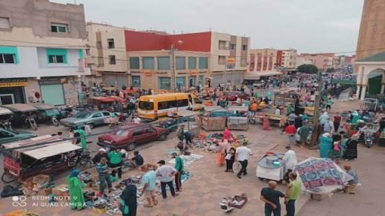 ويسلان تواجه تحديات اجتماعية وخدماتية