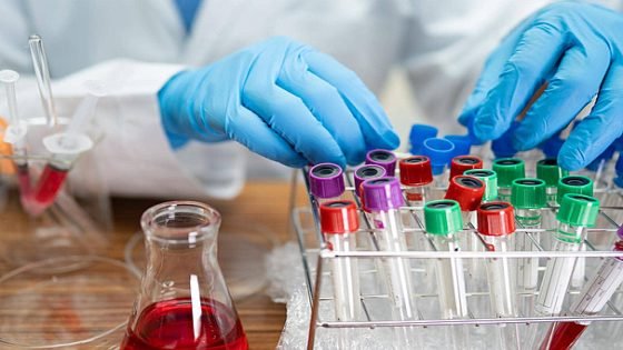 قسم التحليلات بخريبكة ..خدمة فورية وإبداع في التنظيم