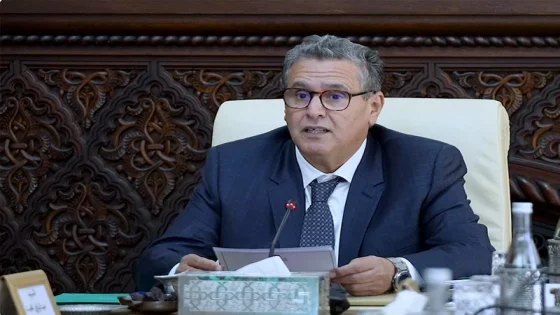 أخنوش: الموقف بشأن الصحراء حازم