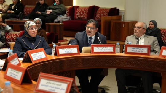 حامي الدين: الدفع بعدم الدستورية يعزز الأمن القضائي