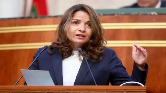 بنعلي تبرز مخطط إصلاح القطاع المعدني لتعزيز السيادة الاقتصادية الوطنية