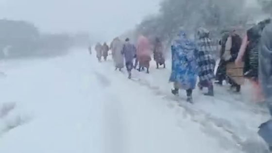 تحت الثلوج.. ساكنة بوتفردة تسير على الأقدام نحو عمالة بني ملال للمطالبة بتسهيل مساطر البناء