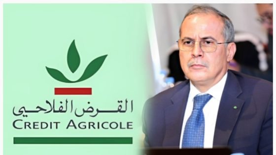 الإعلام المصري يسلّط الضوء على ريادة تجربة القرض الفلاحي بالمغرب كنموذج تنموي ناجح