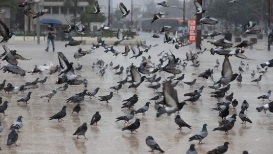 مقاييس الأمطار بالمغرب في 24 ساعة