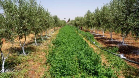 تمويل أوروبي بـ150 مليون أورو لمشروع الحفاظ على المياه بسهل سايس