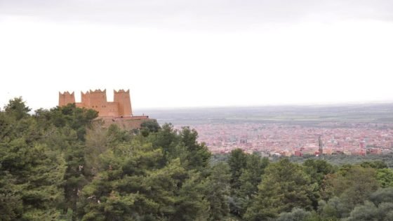 بني ملال: مجانية جميع مواقف السيارات العمومية طوال 2026