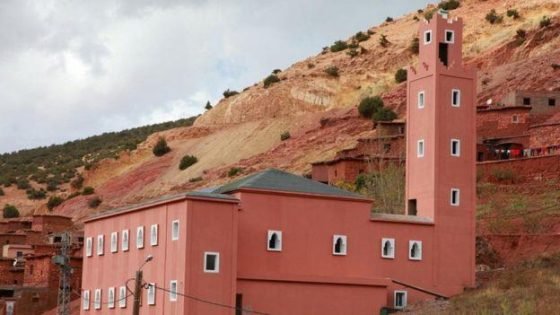 وزير الأوقاف: برنامج تأهيل المساجد في القرى عالج 2038 مسجدا مغلقا من أصل 3120