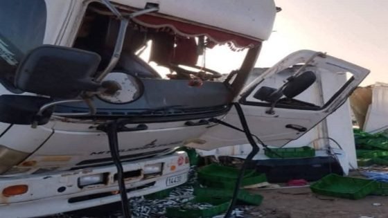 انقلاب شاحنة محملة بالسردين بين العيون وطانطان ( صور )