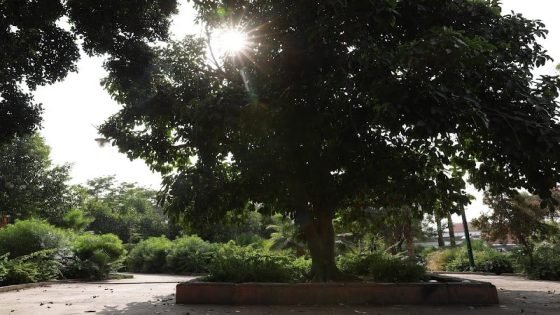 صقيع وضباب ورعد.. الأربعاء بطقس متقلب ورياح قوية بعدد من مناطق المملكة