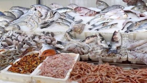 المجلس الأعلى للحسابات: المغاربة لا يستهلكون الأسماك بسبب الغلاء وتعدد الوسطاء