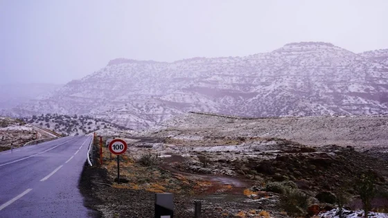 طقس الإثنين : برودة وصقيع ورياح بالجنوب