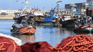 مراكب الصيد الساحلي بميناء العرائش تستأنف نشاطه