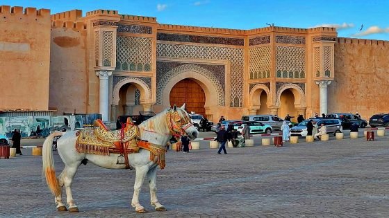 مكناس: تحذيرات من وضع متأزم وتسيير ضبابي داخل مجلس الجماعة