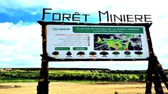 منتزه “الغابة المنجمية” بخريبكة .. النقاش أبعد من الإقبال !!