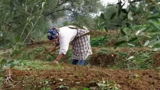 ثاء الثأنيت المقصية