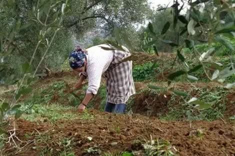 ثاء الثأنيت المقصية