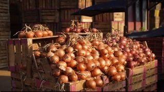 “البصل يثير الغضب.. أزمة أسعار تكشف فساد سلسلة التوزيع”