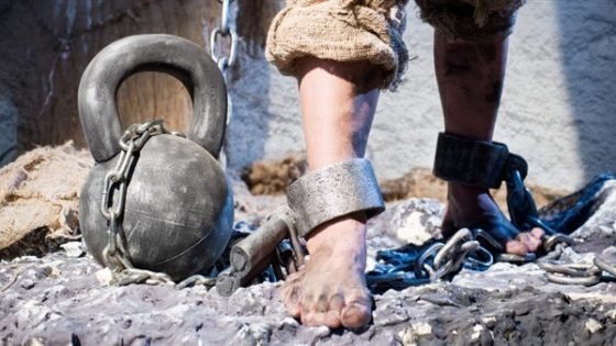 الراتب مقابل الصمت… حكاية عبودية الوظيفة في عصرنا