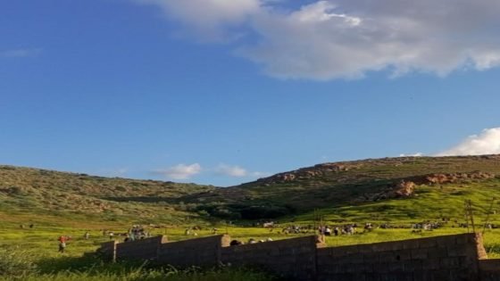 أولاد عياد بلا متنفس: نساء وأطفال في رحلة أسبوعية نحو بوتغرار