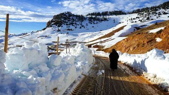 أرصاد ..طقس بارد مع توقع نزول زخات مطرية