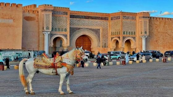 شبهات فساد تهز مجلس جماعة مكناس ومطالب بتحقيق عاجل